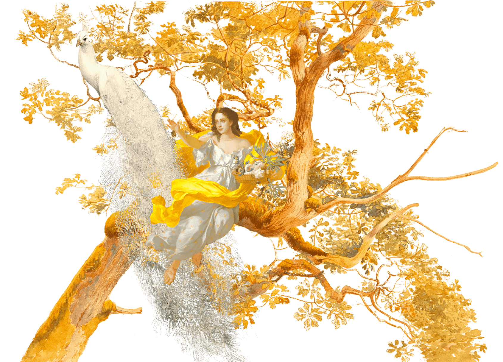 Hera